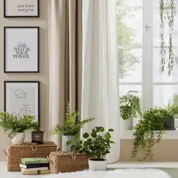 Mömax Dekopflanze „FARN“ 4297520701 mömax Angebot