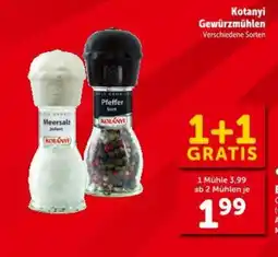 Interspar Kotanyi Gewürzmühlen Angebot