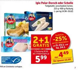 Interspar Polar-Dorsch oder Scholle Angebot