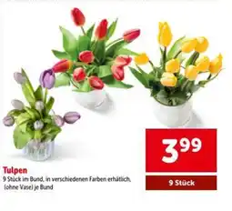 Interspar Tulpen Angebot