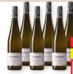 Maximarkt Weingut Kolkmann Grüner Veltliner Classic Wagram Angebot