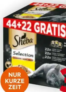 Billa Sheba Katzenfutter-Schale Angebot