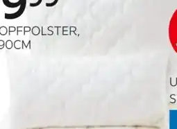 XXXLutz Bio:Vio Kopfpolster Cadiz Angebot