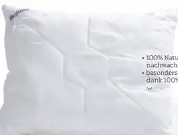 XXXLutz Sleeptex Kopfpolster Klimakomfort Angebot