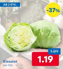 T&G Eissalat Angebot