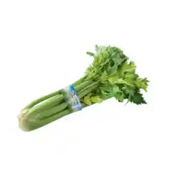 Spar Bio-Stangensellerie SPAR Angebot