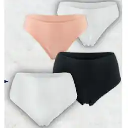 Hofer Damen-Slips versch. Farben und Modelle HOFER Angebot