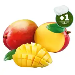 PENNY Mango Vorgereift jö Bonus Club Preis Penny Angebot