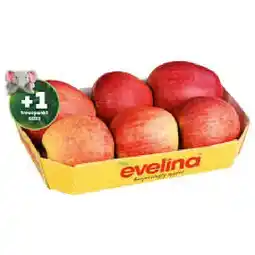 PENNY Apfeltasse „evelina“ jö Bonus Club Preis Penny Angebot