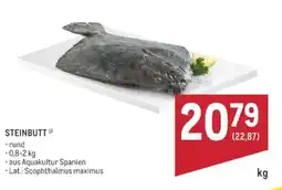 Metro Steinbutt Angebot