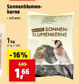 Thomas Philipps Sonnenblumen kerne Angebot