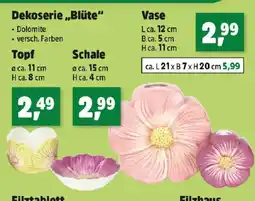 Thomas Philipps Dekoserie Blüte Angebot