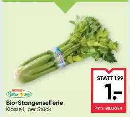 Maximarkt Bio Stangensellerie Angebot