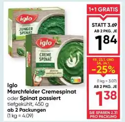 Maximarkt Iglo Marchfelder Cremespinat oder Spinat passiert Angebot