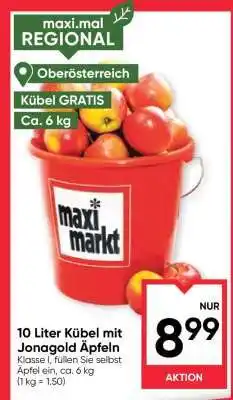 Maximarkt 10 Liter Kübel mit Jonagold Äpfeln Angebot