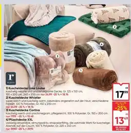 Maximarkt Kuscheldecke Lake Louise Angebot