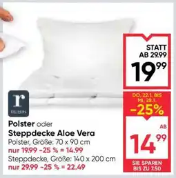 Maximarkt Polster oder Steppdecke Aloe Vera Angebot