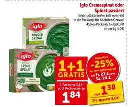 Interspar iglo Cremespinat oder Spinat passiert Angebot