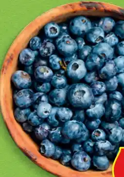 Hofer Hofer Marktplatz Heidelbeeren Angebot