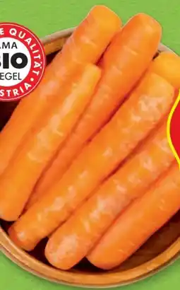 Hofer Zurück zum Ursprung Bio-Karotten Angebot