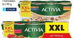 Hofer Danone Activia Joghurt Angebot