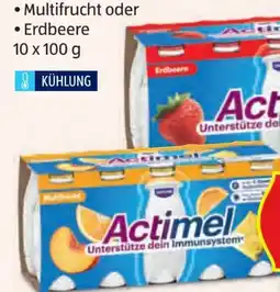 Hofer Danone Actimel Drink Angebot