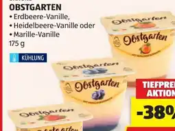 Hofer Danone Obstgarten Angebot