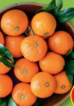 Hofer Hofer Marktplatz Mandarinen Angebot