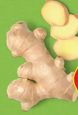Hofer Hofer Marktplatz Bio-Ingwer Angebot