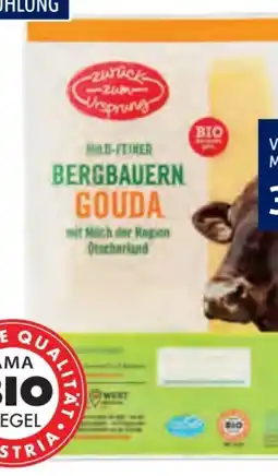 Hofer Zurück zum Ursprung Bio-Gouda Angebot