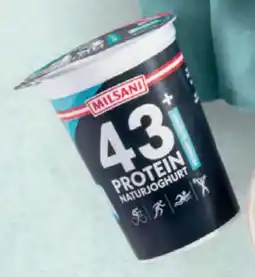 Hofer Milsani High Protein Naturjoghurt Angebot