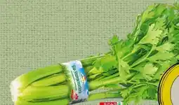 Spar Spar Natur pur Bio-Stangensellerie Angebot