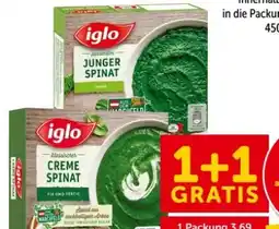 Interspar Iglo Cremespinat Angebot