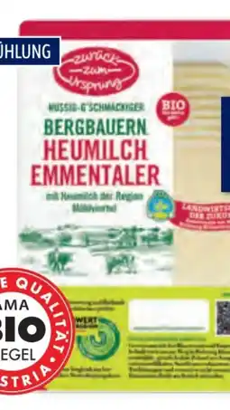 Hofer Zurück zum Ursprung Bio-Heumilch-Käsescheiben Angebot