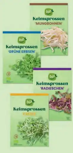 Hofer Bio Bio-Keimsprossen Angebot