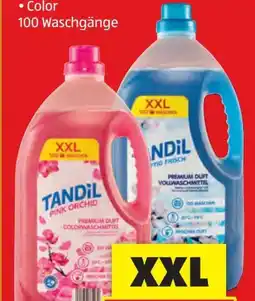 Hofer Tandil Flüssigwaschmittel Angebot