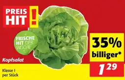 Nah&Frisch Kopfsalat Angebot