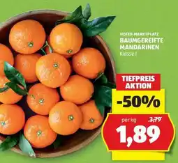 Hofer BAUMGEREIFTE MANDARINEN Angebot