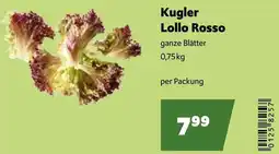 Eurogast Grissemann Kugler Lollo Rosso Angebot