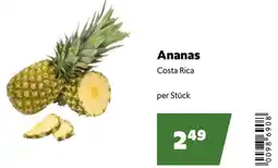 Eurogast Grissemann Ananas Costa Rica Angebot