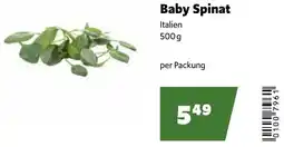 Eurogast Grissemann Baby Spinat Angebot