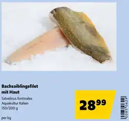 Eurogast Grissemann Bachsaiblingsfilet mit Haut Angebot