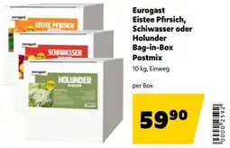 Eurogast Grissemann Eurogast Eistee Pfirsich, Schiwasser oder Holunder Bag-in-Box Postmix Angebot