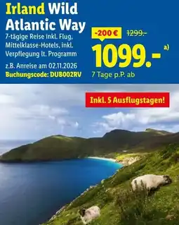 Lidl Reisen Irland Wild Atlantic Way Angebot