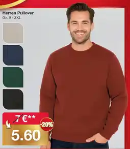 Woolworth Herren Pullover Angebot