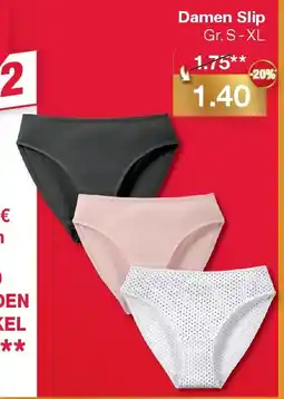 Woolworth Damen Slip Angebot