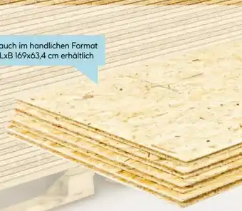 Hellweg OSB 3 EN 300-Verlegeplatte Angebot