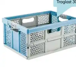 Hellweg Keeeper Klappbox Lea Angebot