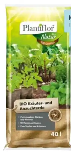 Hellweg Plantiflor Bio Kräuter-Anzuchterde Angebot