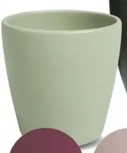 Hellweg Orchideentopf Thalia Angebot